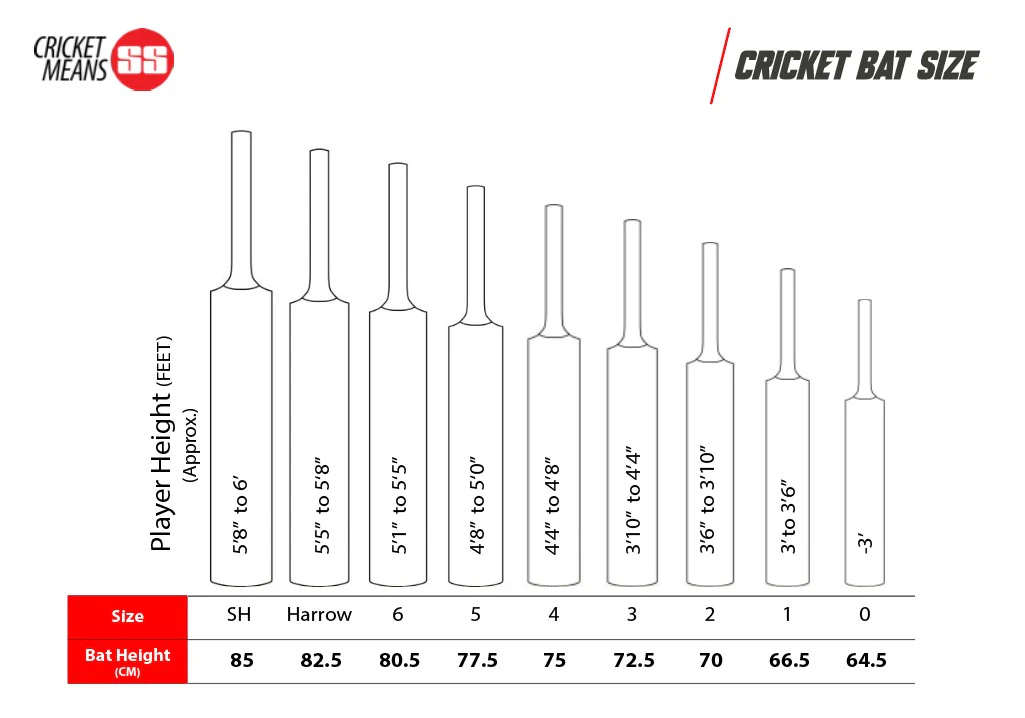 SS Master 9000 English Willow Cricket Bat -SH - Image 5